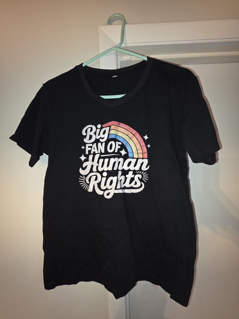Men's/Women's Black Graphic Tee - Big Fan of Human Rights